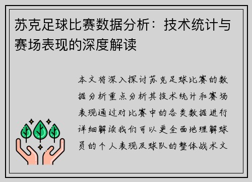 苏克足球比赛数据分析：技术统计与赛场表现的深度解读