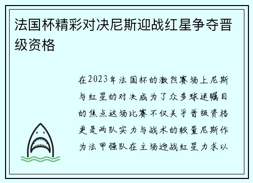 法国杯精彩对决尼斯迎战红星争夺晋级资格